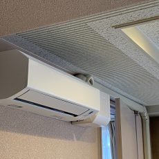 IMG_1113